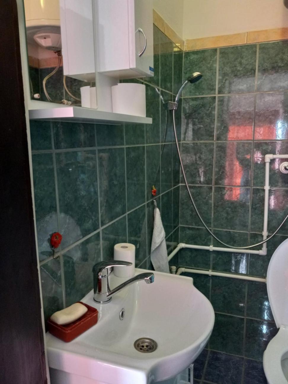 Apartman Sani Donji Milanovac Esterno foto
