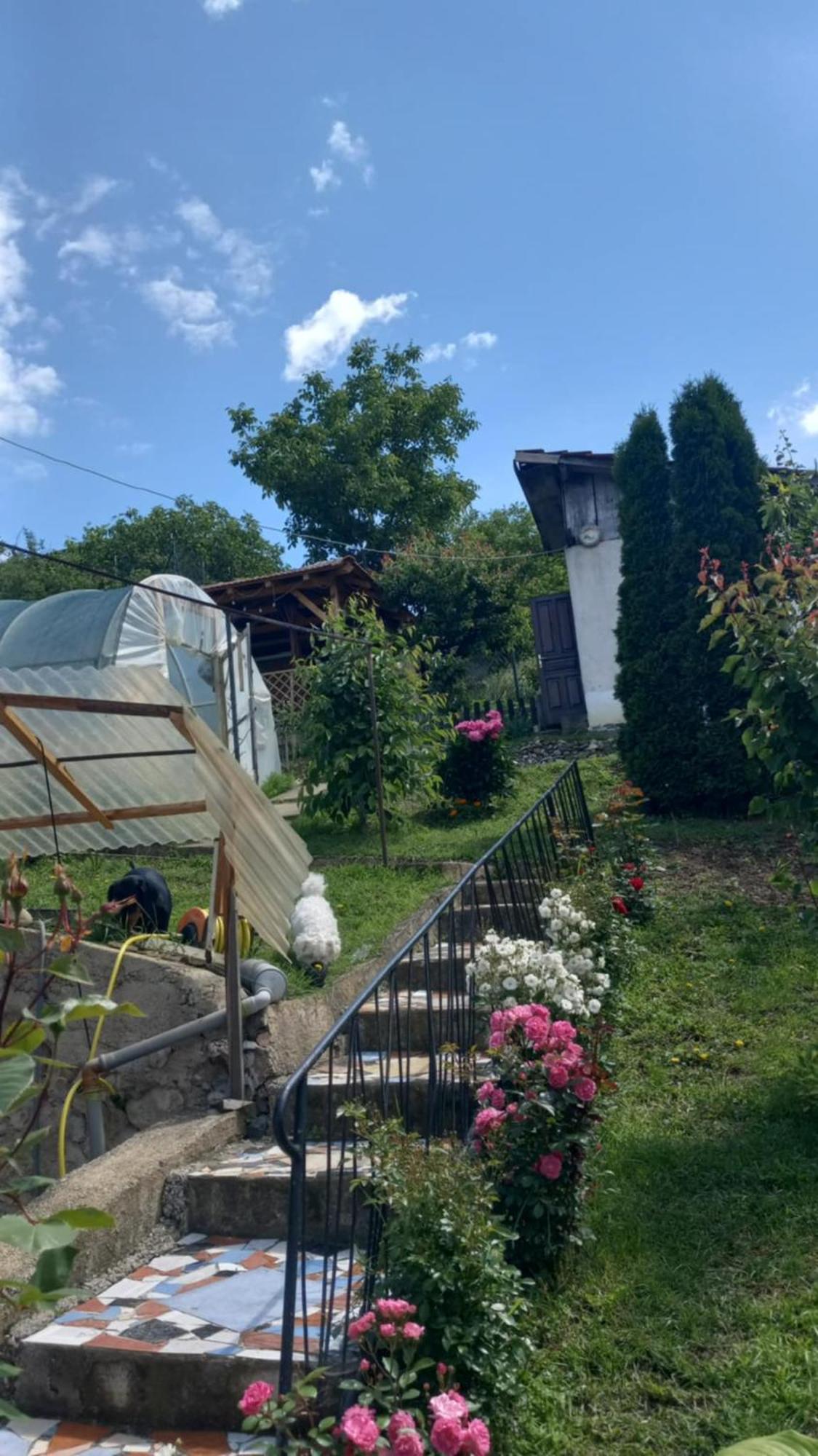 Apartman Sani Donji Milanovac Esterno foto