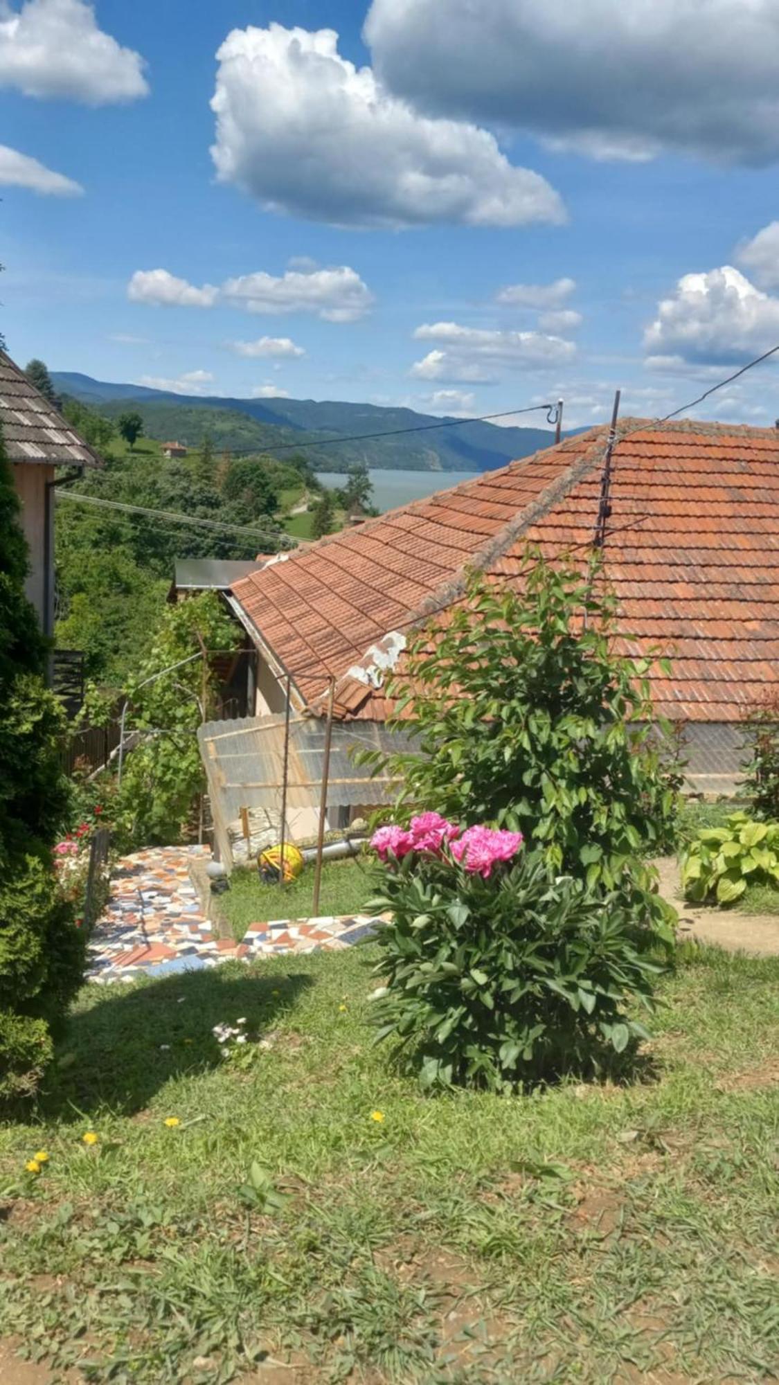 Apartman Sani Donji Milanovac Esterno foto